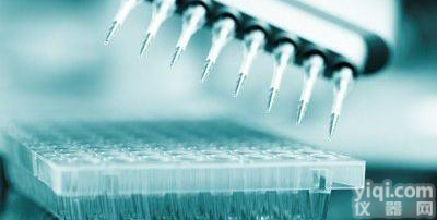 蛋白-<em>抗体</em>（ProteinA <em>纯化</em>）