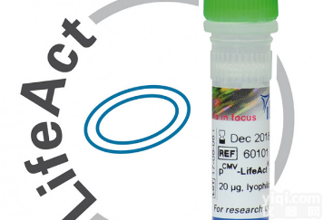 ibidi，<em>伤口</em><em>愈合</em>2孔<em>插件</em> ibidi 授权代理