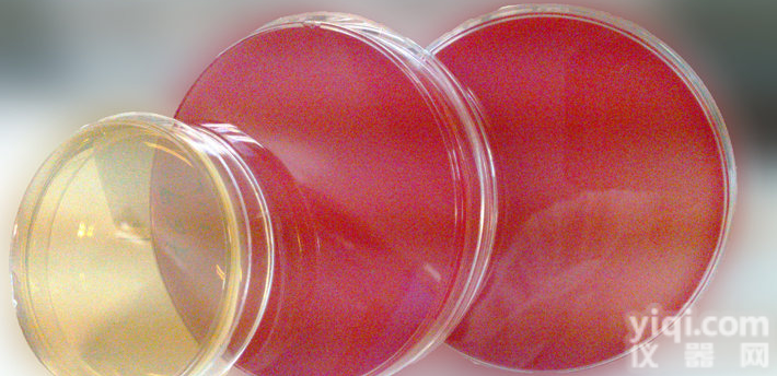 <em>GYT培养基</em>