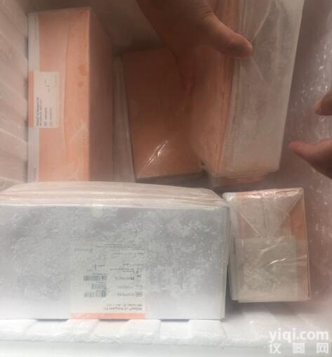 <em>Illumina</em> 国内代理商 ZG<em>总代</em>理