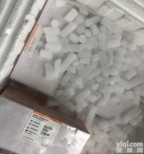 IlluminaMiSeqDX Research Run <em>Training</em> - <em>Custom</em>er <em>Site</em>