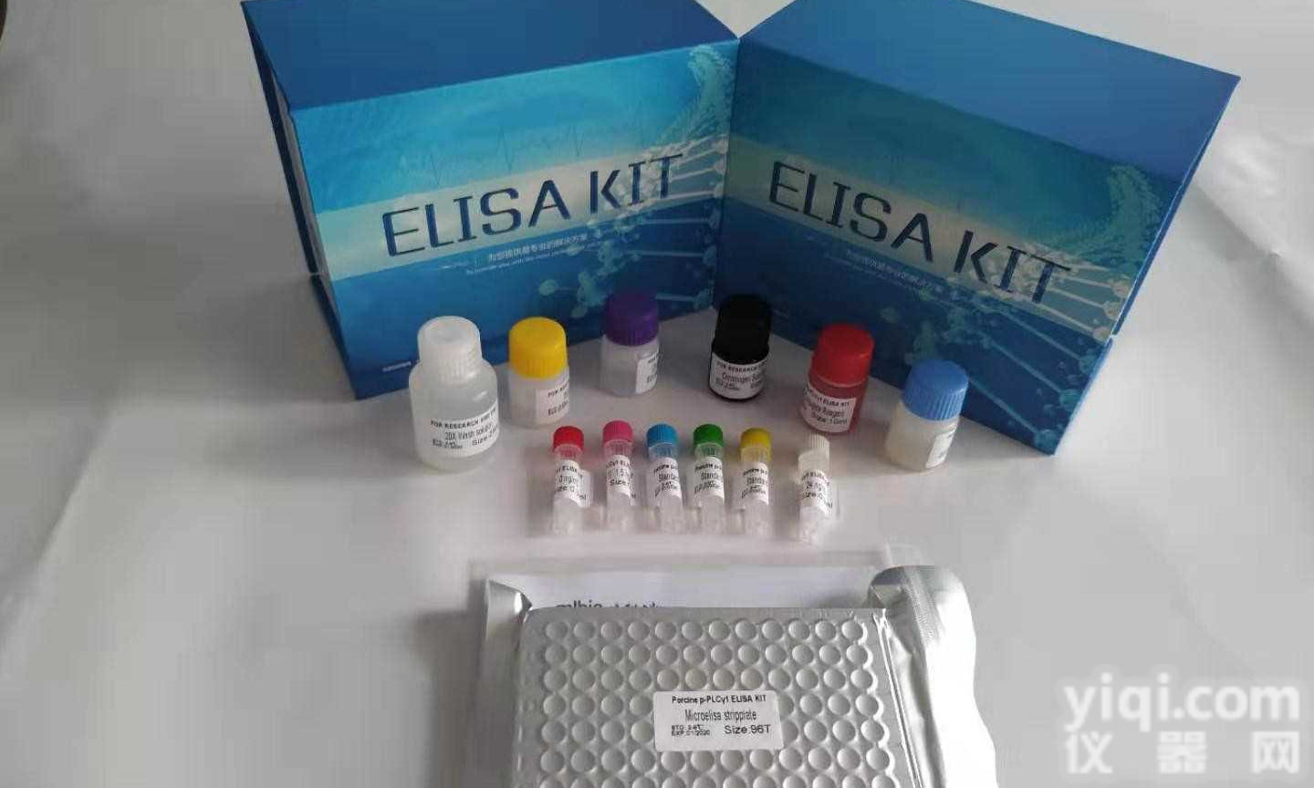 人<em>糖类</em><em>抗原</em><em>242</em> CA<em>242</em> elisa试剂盒