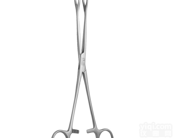 <em>金钟</em>，<em>组织镊</em> 24cm 枪形 1×2齿 1.5