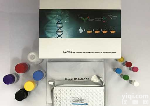 96T人抗<em>肝素</em>PF4复合物<em>抗体</em>/HIT<em>抗体</em>-IgM(HIT)ELISA<em>试剂盒</em>