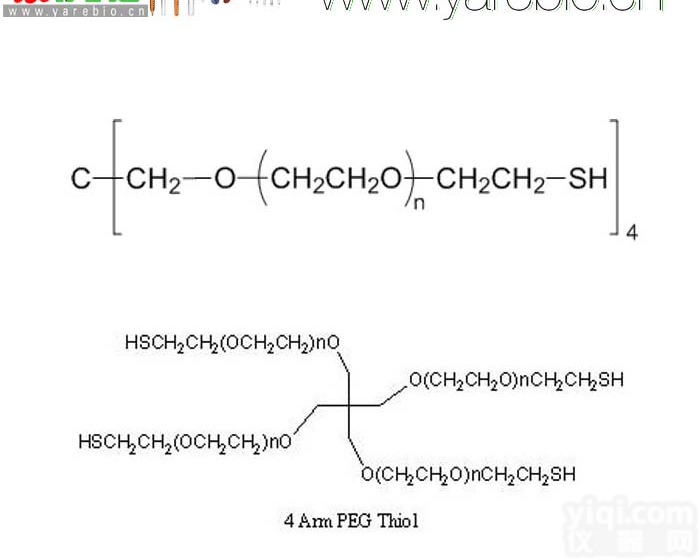 4arm-<em>PEG</em>-SH 4 arm <em>PEG</em>-Thiol 四臂<em>PEG</em><em>巯基</em> <em>PEG</em>修饰剂 <em>PEG</em><em>衍生物</em>