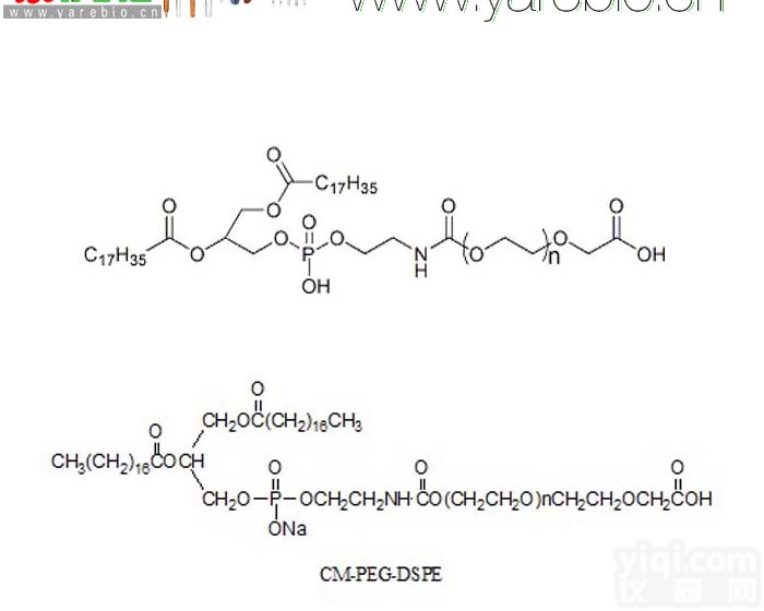 DSPE-PEG-COOH DSPE-PEG-Acid <em>磷脂</em>PEG羧基 PEG<em>修饰</em>剂 PEG衍生物