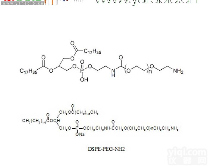DSPE-PEG-NH2 DSPE-PEG-Amine <em>磷脂</em>PEG氨基 PEG<em>修饰</em>剂 PEG衍生物