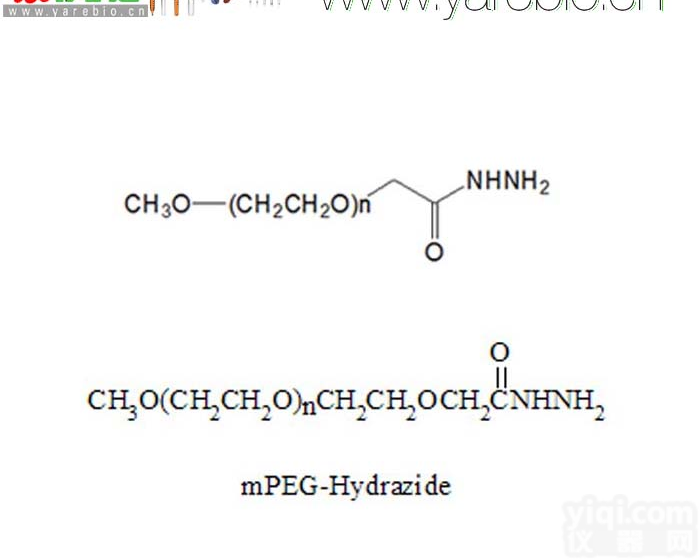 <em>mPEG</em>-<em>Hydrazide</em> <em>mPEG</em>-HZ 甲氧基聚乙二醇酰肼 甲氧基PEG酰肼