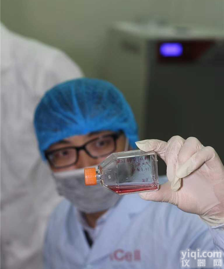 人乳<em>腺癌</em>细胞/STR<em>鉴定</em>/赛百慷（iCell）