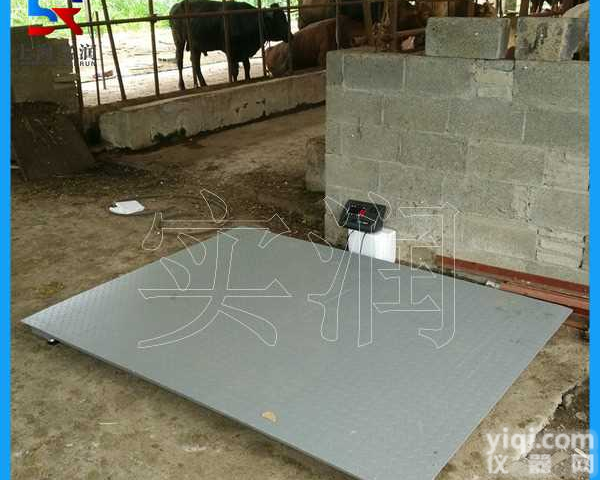 带RS485通讯接口<em>地磅</em>秤 | <em>金山区</em>3吨电子磅称