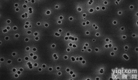 Millipore聚碳酸酯白色光面生物分析<em>表面</em><em>滤膜</em>