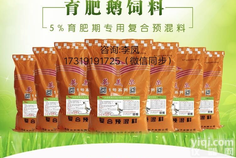 鹅的<em>养殖技术</em>LF鹅怎么快速催肥&鹅吃<em>什么</em>长的快LF鹅催肥配方