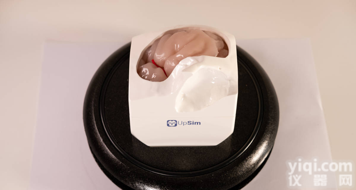 <em>神经外科</em>手术模拟训练系统 练习模型