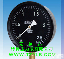 船用<em>压力表</em>无锡市<em>特种</em><em>压力表</em>有限公司YC-60/<em>100</em>/150