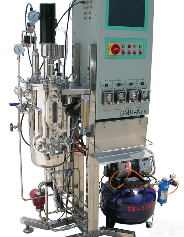 BMR<em>全自动发酵罐</em>