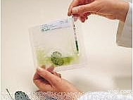  <em>植物</em>病害及转基因检测<em>试纸</em>条