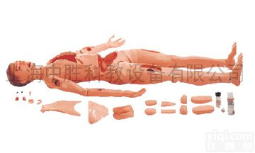 高级<em>护理</em>模<em>拟人</em>-高级全功能<em>护理</em>训练模<em>拟人</em>（男）上海中胜科教