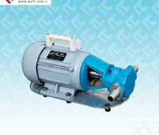 WCB.S型齿轮<em>油泵</em>--<em>永嘉</em><em>罗浮</em>工业<em>油泵</em>厂