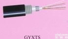 <em>GYXTS光缆</em> 