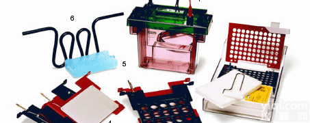 <em>伯乐</em>Criterion <em>转印</em>仪Biorad Criterion Blotter 170-4070