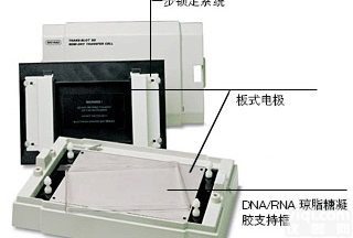 <em>伯乐</em>半干<em>转印</em>槽Biorad Trans-Blot SD Semi-Dry Transfer Cell