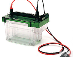 <em>伯乐</em>Criterion <em>电泳槽</em>165-6019