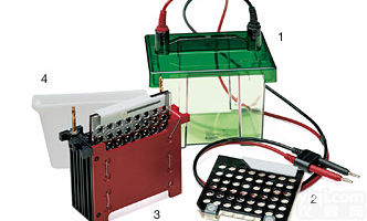 BIO-RAD Mini Trans-<em>Blot</em> <em>Cell</em>伯乐小型Trans-<em>Blot</em> 转印槽 170