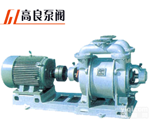 SK型<em>水环式</em><em>真空泵</em>，<em>水环式</em><em>真空泵</em>，<em>水环式</em><em>真空泵</em>安装，<em>水环式</em><em>真空泵</em>修理