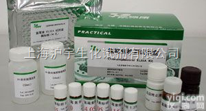 Bcl-2 单克隆<em>抗体</em><em>产品代理</em>商