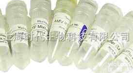 3055-98-9,辛乙烯二醇单正十二烷基酯/月桂醇聚醚-8/<em>辛二醇</em>单十二醚/八甘醇单正十二烷基醚/