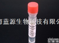 Anti-beta <em>endorphin</em>,β-<em>内啡肽</em><em>抗体</em>