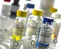 Anti-RAD51C,<em>乳腺癌</em>和<em>卵巢癌</em><em>易感</em>基因RAD51C抗体