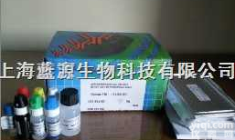 1,3-βD <em>glucosidase</em>）ELISA<em>试剂盒</em>之人ELISA<em>试剂盒</em>