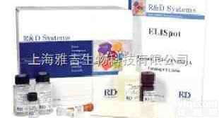 兔子<em>白三烯</em>B4（<em>LTB4</em>）<em>试剂盒</em>