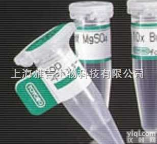 <em>ACE2</em><em>抗体</em>,<em>ACE2</em><em>抗体</em>