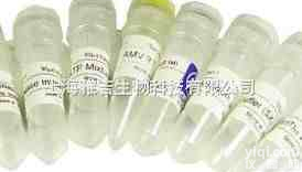 <em>小鼠</em><em>抗大</em>鼠IgG抗<em>血清</em>