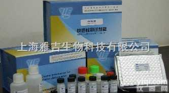 人<em>胎儿</em><em>血红蛋白</em>Elisa<em>试剂盒</em>,（HBF）Elisa<em>试剂盒</em>