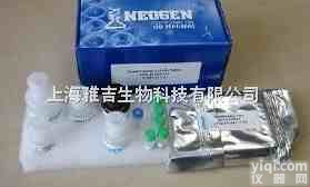 人花生四<em>烯酸</em>（AA）<em>试剂盒</em>