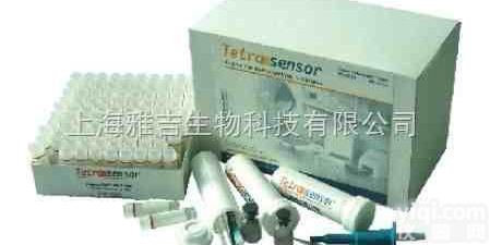 大鼠基质金属蛋白酶8/中性粒细胞<em>胶原酶</em>（MMP-8）<em>试剂盒</em>