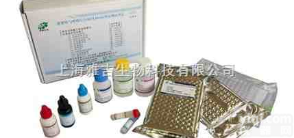 <em>病毒基因组DNA/RNA快速提取试剂盒</em>