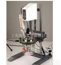 RT2(2000mL)<em>分散均质器</em>,均质系统厂家