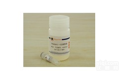 兔抗人<em>磷酸化</em>α-内收蛋白<em>单克隆</em>抗体pS481