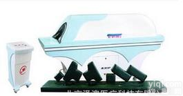 电脑<em>熏蒸</em>ZL舱 MD-99N<em>豪华型</em>（全舱型）