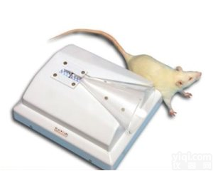 <em>啮齿动物</em>注射锥---Plas-Labs