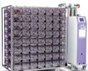 正负压IVC<em>独立</em><em>通风</em>笼具系统---Allentown