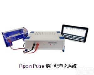 Pippin Pulse <em>脉冲</em>场电泳系统