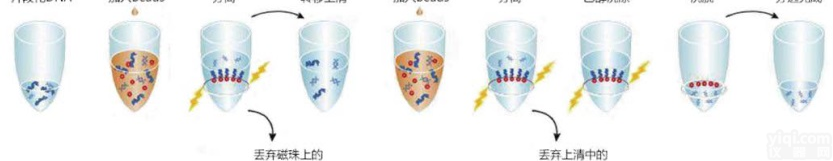 高质量DNA<em>产物</em>的核酸<em>纯化</em>试剂盒