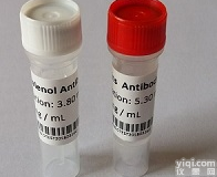 <em>黄曲霉毒素B1抗原抗体</em>