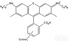 TJ <em>Green</em>™----Gel <em>Green</em> 的WM<em>替代品</em>
