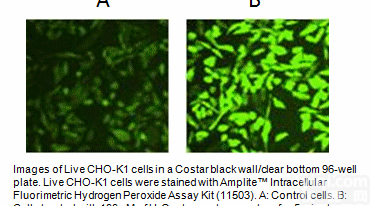 TJ <em>Green</em>™-Gel <em>Green</em> 的WM<em>替代品</em>